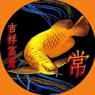 金龍魚(yú)做微信頭像好嗎