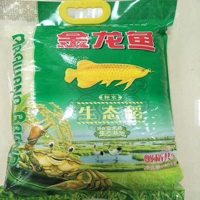 金龍魚可以吃小河蝦嗎 龍魚百科