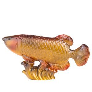 金龍魚養(yǎng)久了會(huì)變色嗎 龍魚百科