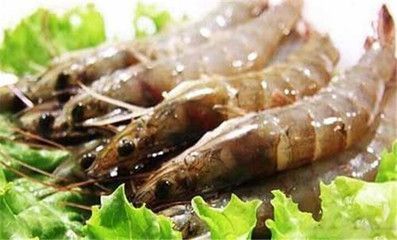 龍魚吃蝦的好處 龍魚百科