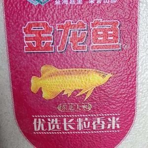 金龍魚卡是什么意思