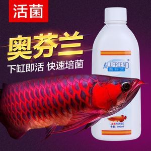 紅龍魚細(xì)菌感染用什么藥最好