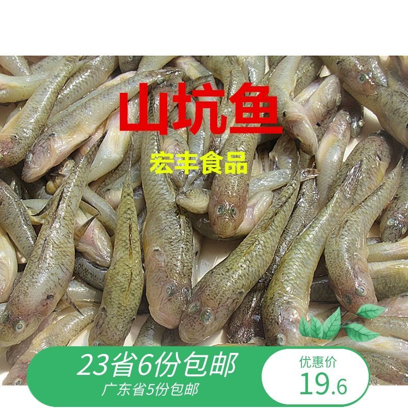 龍魚吃冷凍食品會怎樣