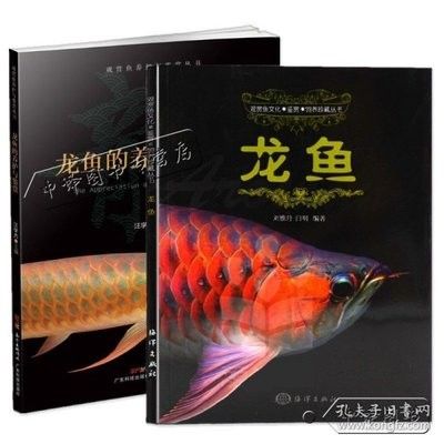 龍魚的養(yǎng)殖技術(shù)與方法