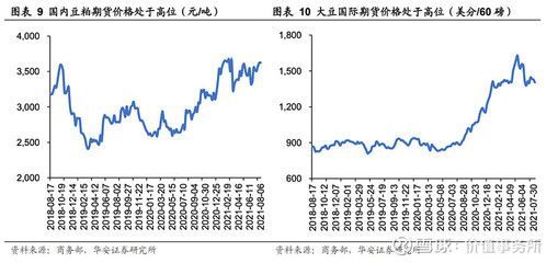 金龍魚價(jià)格上漲原因有哪些 龍魚百科