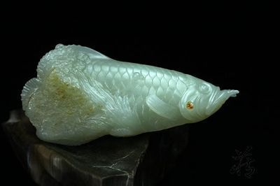 金龍魚(yú)玉雕擺件大全 龍魚(yú)百科