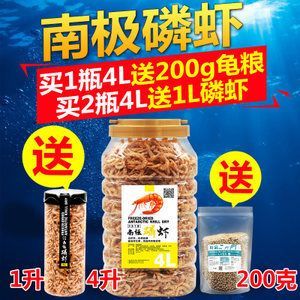 龍魚(yú)吃什么魚(yú)飼料 龍魚(yú)百科