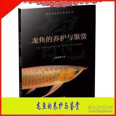 龍魚繁殖技術(shù)