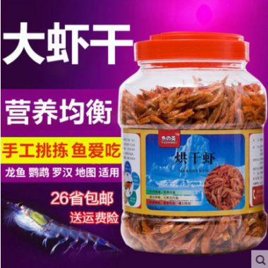 金龍魚吃蝦干嗎