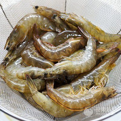 金龍魚吃河蝦好嗎