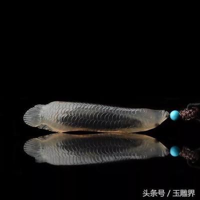 金龍魚作者