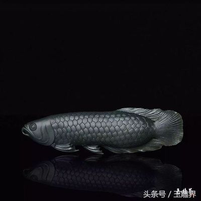 金龍魚作者