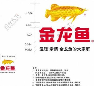 金龍魚最長多長 龍魚百科 第2張