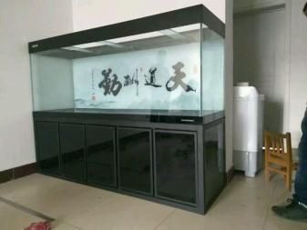 烏蘭察布魚缸批發(fā)市場 全國觀賞魚市場 第1張