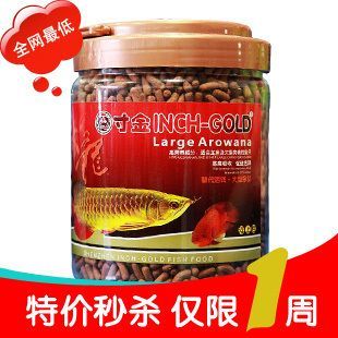 龍魚只吃飼料不吃小魚