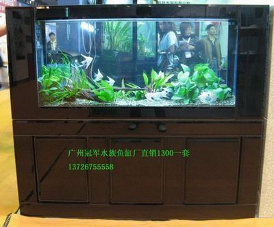 新余魚缸批發(fā)市場 全國觀賞魚市場 第3張