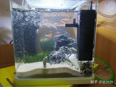 森森魚缸480加過濾 森森魚缸