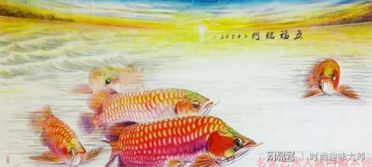 龍魚(yú)畫(huà)家 龍魚(yú)百科 第3張