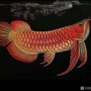 大金龍魚可以吃嗎怎么喂 龍魚百科 第2張