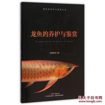 金龍魚(yú)怎么養(yǎng)顏色好看