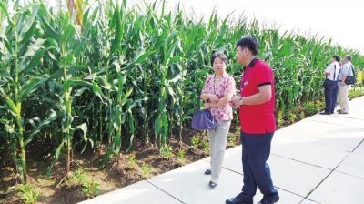 克孜勒蘇柯爾克孜自治州觀賞魚批發(fā)市場 全國觀賞魚市場 第1張