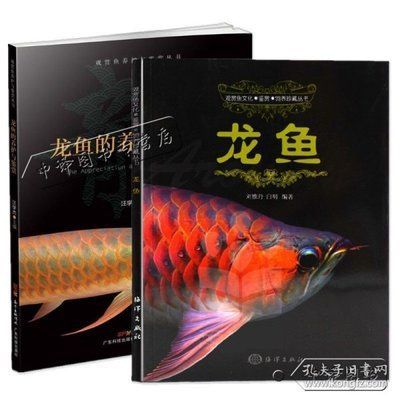 養(yǎng)龍魚的技術(shù)知識講解 龍魚百科 第2張