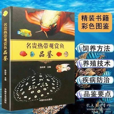 金龍魚養(yǎng)殖技術(shù)方法圖解