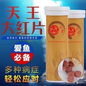 龍魚水霉菌怎么治療最有效的方法