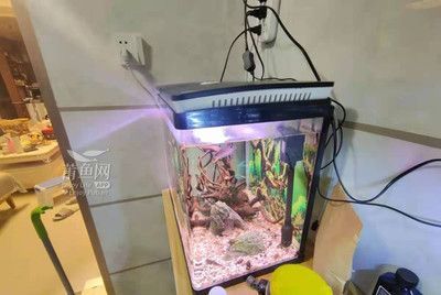 森森魚缸的加熱棒費電嗎 森森魚缸