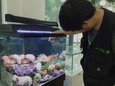 上海水族批發(fā)市場 全國觀賞魚市場 第3張