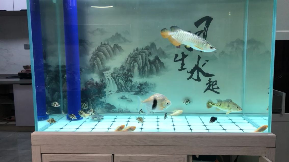 喂一喂， 觀賞魚(yú)論壇