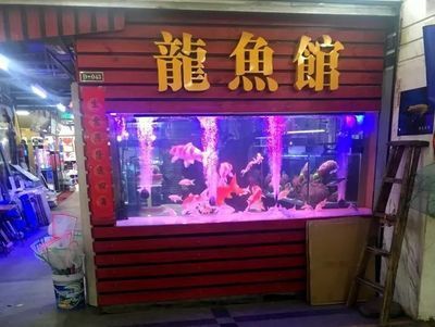 賣龍魚的店叫什么店名呢 龍魚百科 第1張