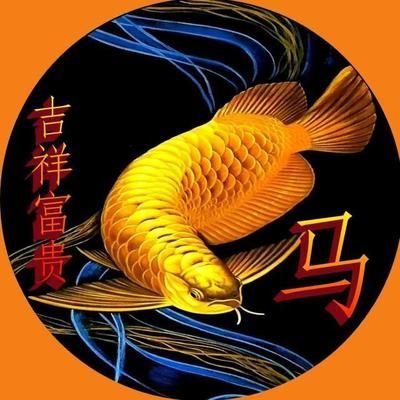 金龍魚(yú)的吉祥語(yǔ)言