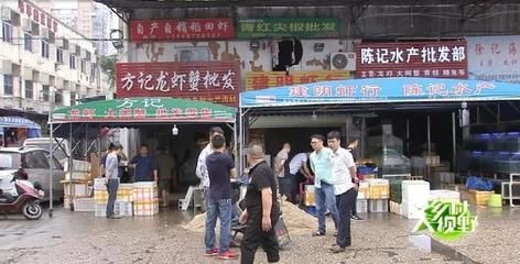 張家界水族批發(fā)市場