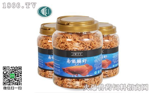 龍魚吃飼料魚好嗎怎么喂養(yǎng)的 龍魚百科