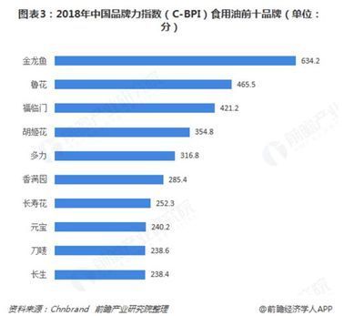 金龍魚本部在哪里