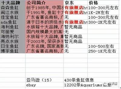 閩江水族和森森水族關(guān)系