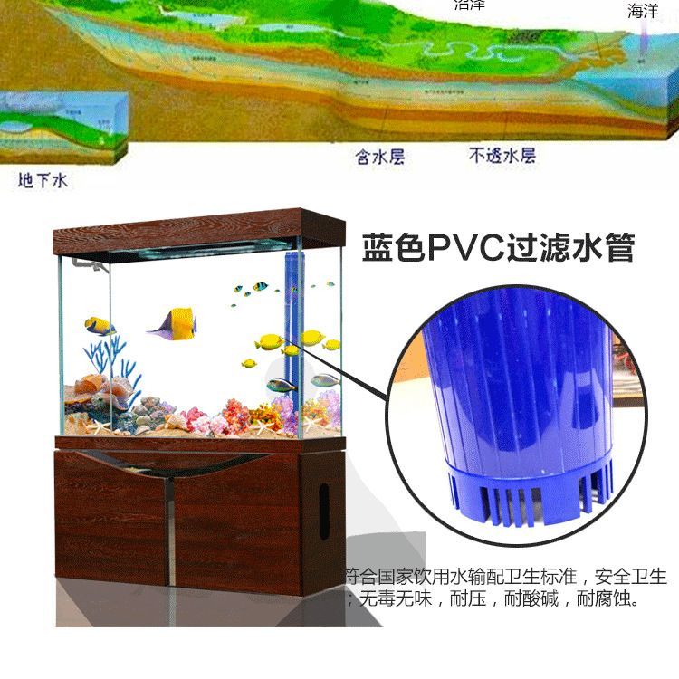 龍魚天天換水好嗎 龍魚百科 第1張