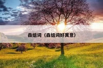 森森的組詞是什么