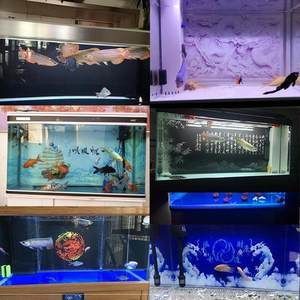 森森水族魚缸售后電話北京