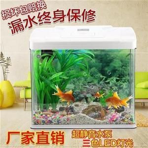 龍魚缸放小魚 龍魚百科