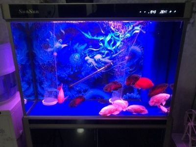 森森水族魚缸配件可以用手機操作嗎