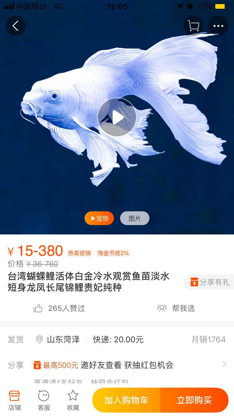 有寧波鎮(zhèn)海的魚友么 觀賞魚論壇