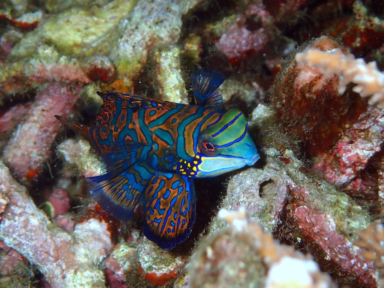 森森魚缸太原總代理