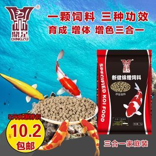 龍魚虎魚吃什么好一點(diǎn) 龍魚百科 第1張