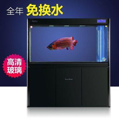 森森602b和魚(yú)缸同高 森森魚(yú)缸