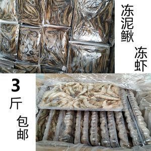 龍魚吃了冰凍的蝦 會(huì)生病嗎？ 龍魚百科 第3張