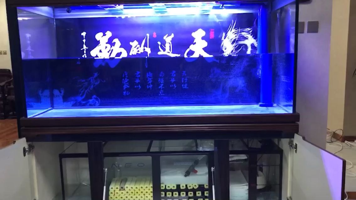 新缸試水，養(yǎng)水 觀賞魚論壇