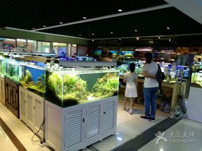 森森水族工廠地址 森森魚缸