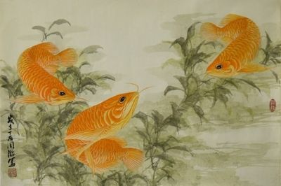 名家畫金龍魚 龍魚百科 第1張